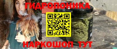 эйфоретик Абакан