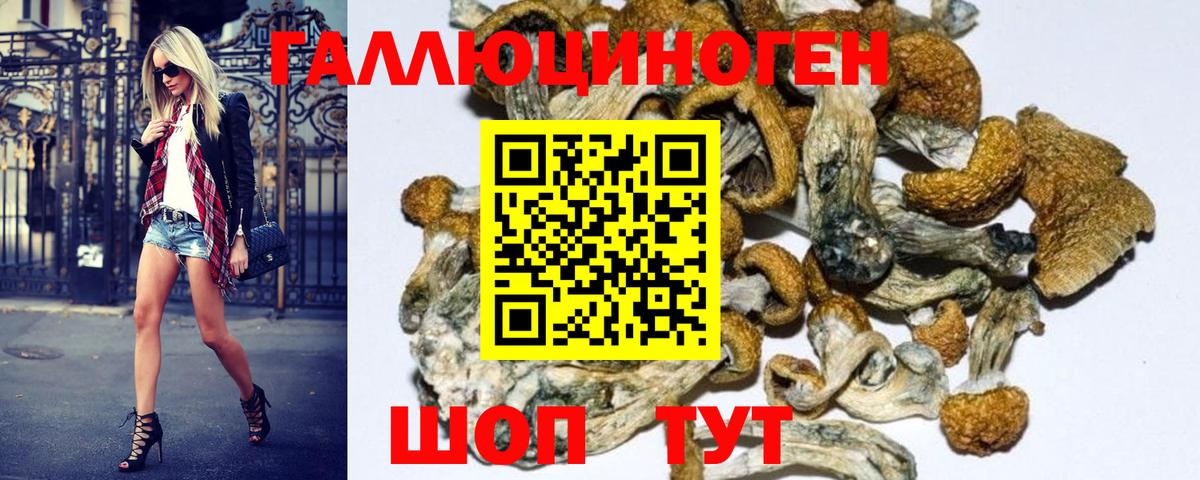 Галлюциногенные грибы MAGIC MUSHROOMS  Галлюциногенные грибы мухоморы  Вход с VPN  Ангарск 